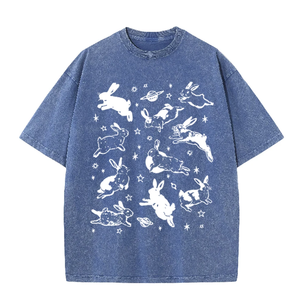 2026 Vintage Space Rabbit Plan - Acid Wash Vintage Graphic T Shirt review and price
